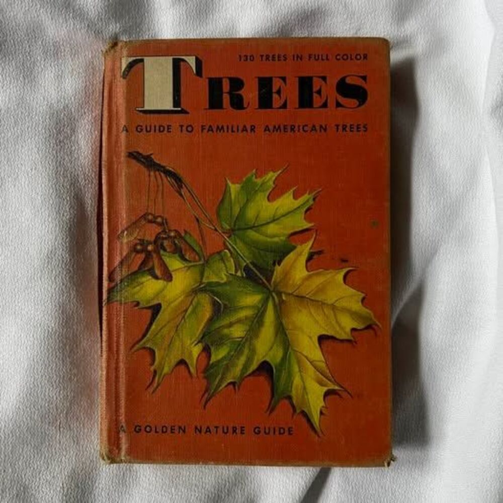 Vintage Golden Nature Guide: Trees, A Guide to Familiar American Trees